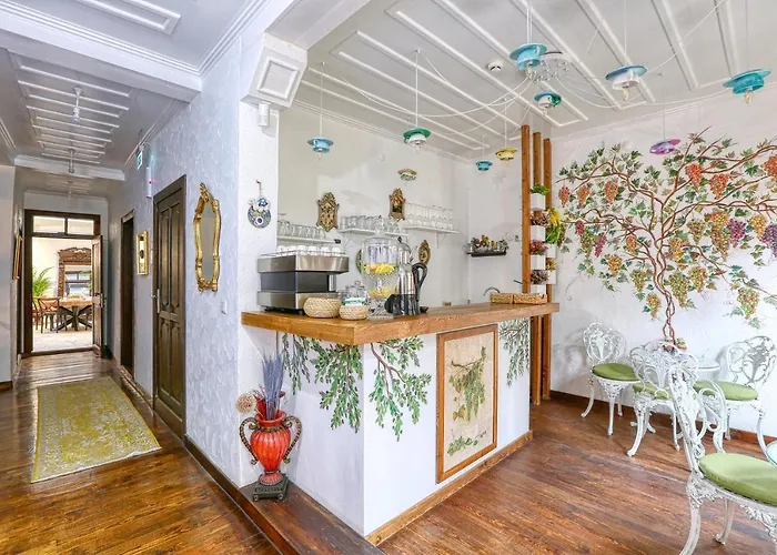 Trilye Bay C * בורסה