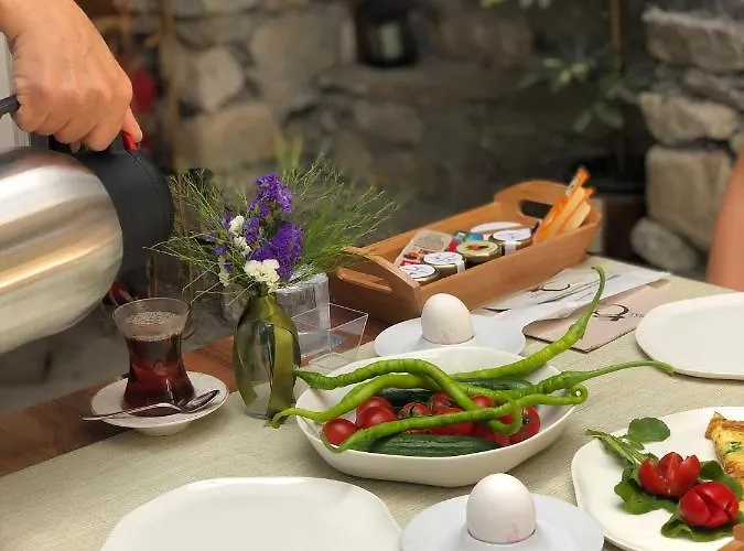 Trilye Bay C בורסה