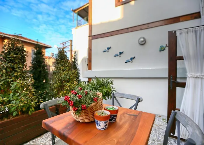 Trilye Bay C * בורסה